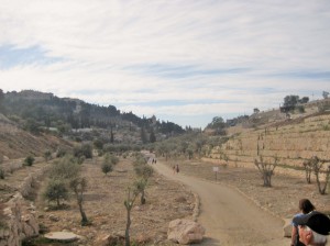 The path runs between the Mount of Olives rising to the left, and the hill leading up to the wall of the Old City to the right.