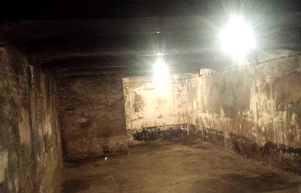 Inside a gas chamber at Auschwitz. Imagine being herded into this room with 2000 other people.