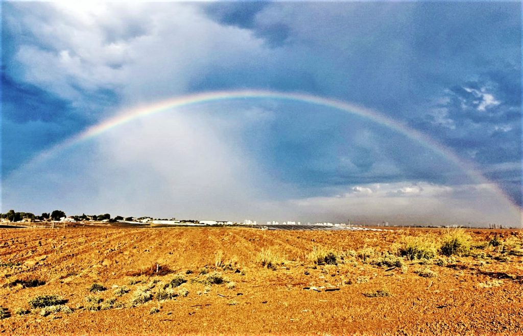A beautiful rainbow over southern Israel a few hours ago (photo Alde Nathaniel).