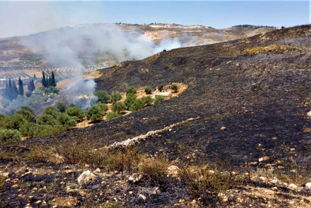Blackened hillsides from a fire started by terrorist arsonists--and finally put out by IDF Soldiers and Jewish community members.