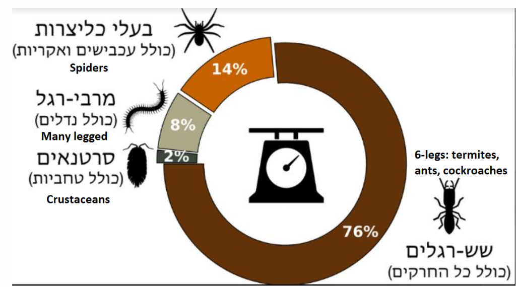 A fascinating study published by two scientists at the Weizmann Institute in Rehovot.