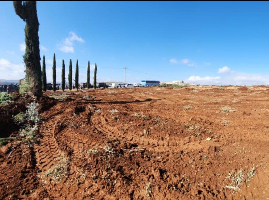 This is where the olive orchard stood this morning. After it was completely destroyed, Netanyahu ordered the destruction to be halted.