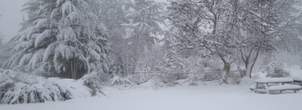 A snowy scene in Kiryat Arba beside Hevron this morning.