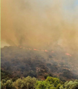 The fire on Mt. Arbel yesterday.